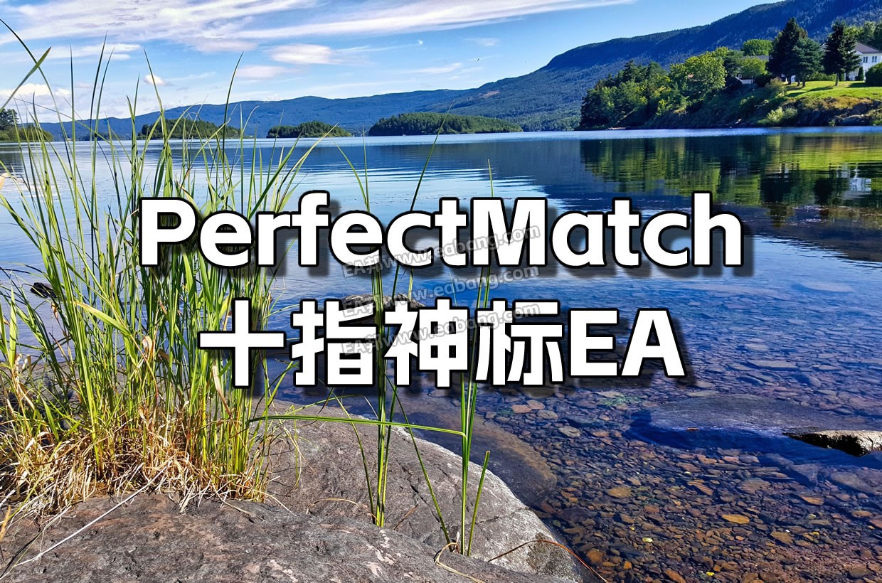 28-PerfectMatch1240文字-landscape-2320697.jpg