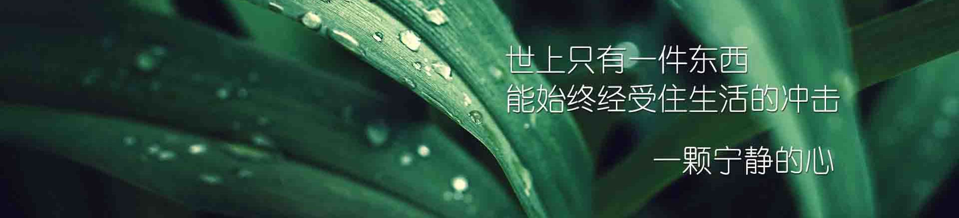 指标下载