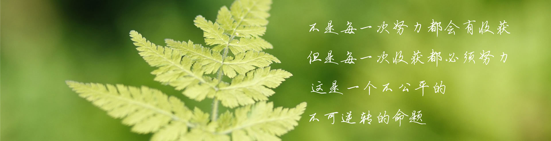 震荡EA