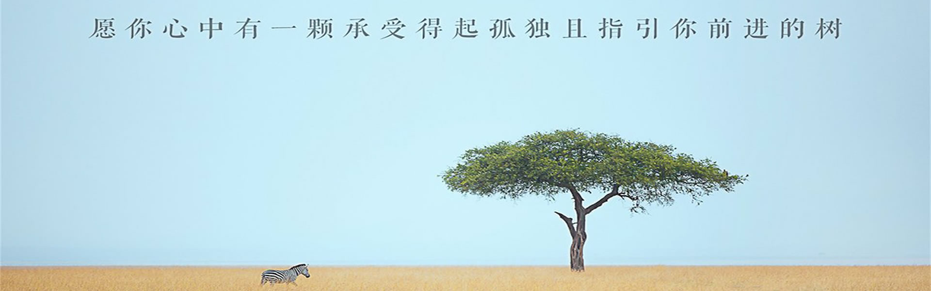 行业新闻