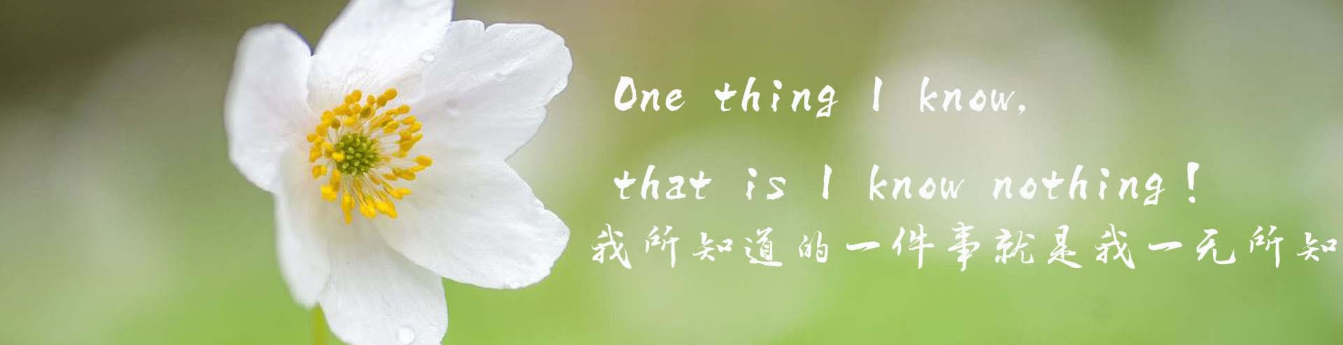 行业新闻