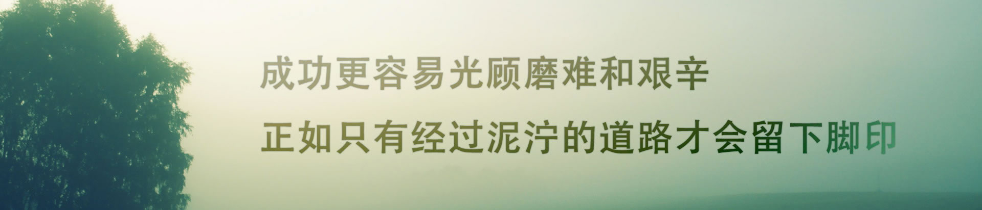 全自动EA