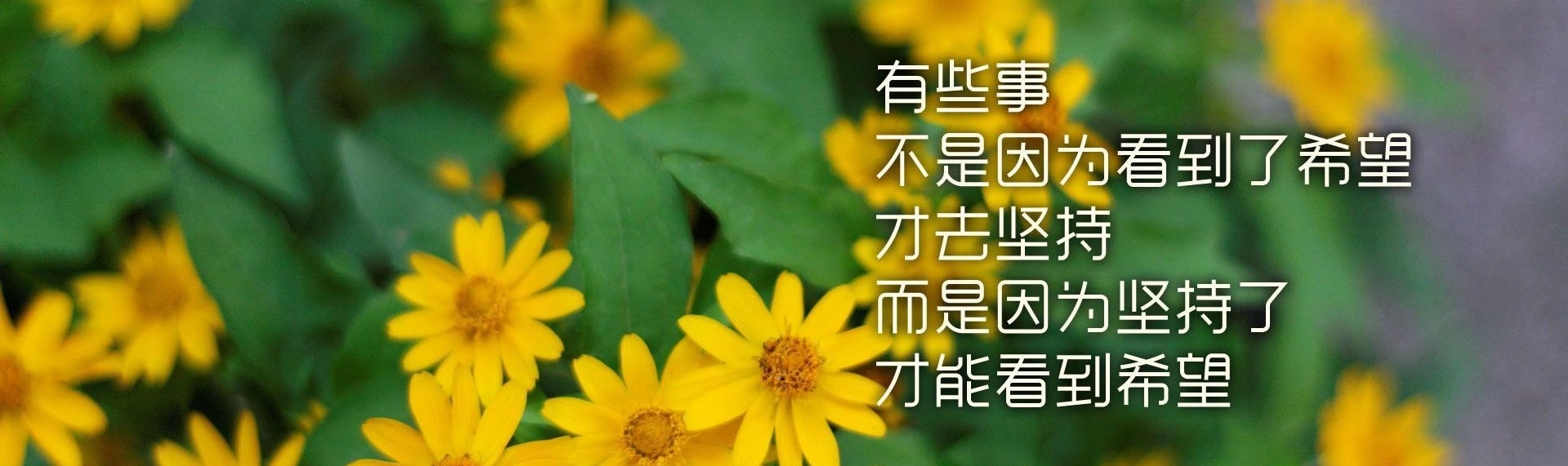 EA学院